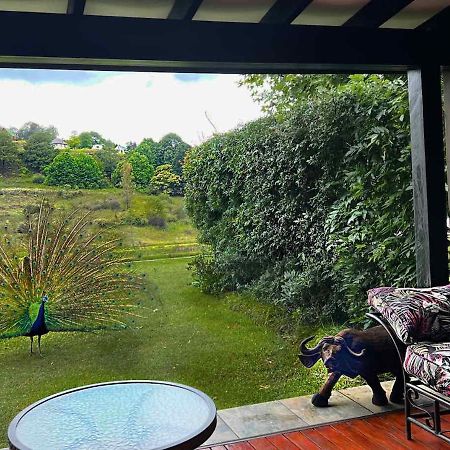 Malachite Manor Underberg Kültér fotó