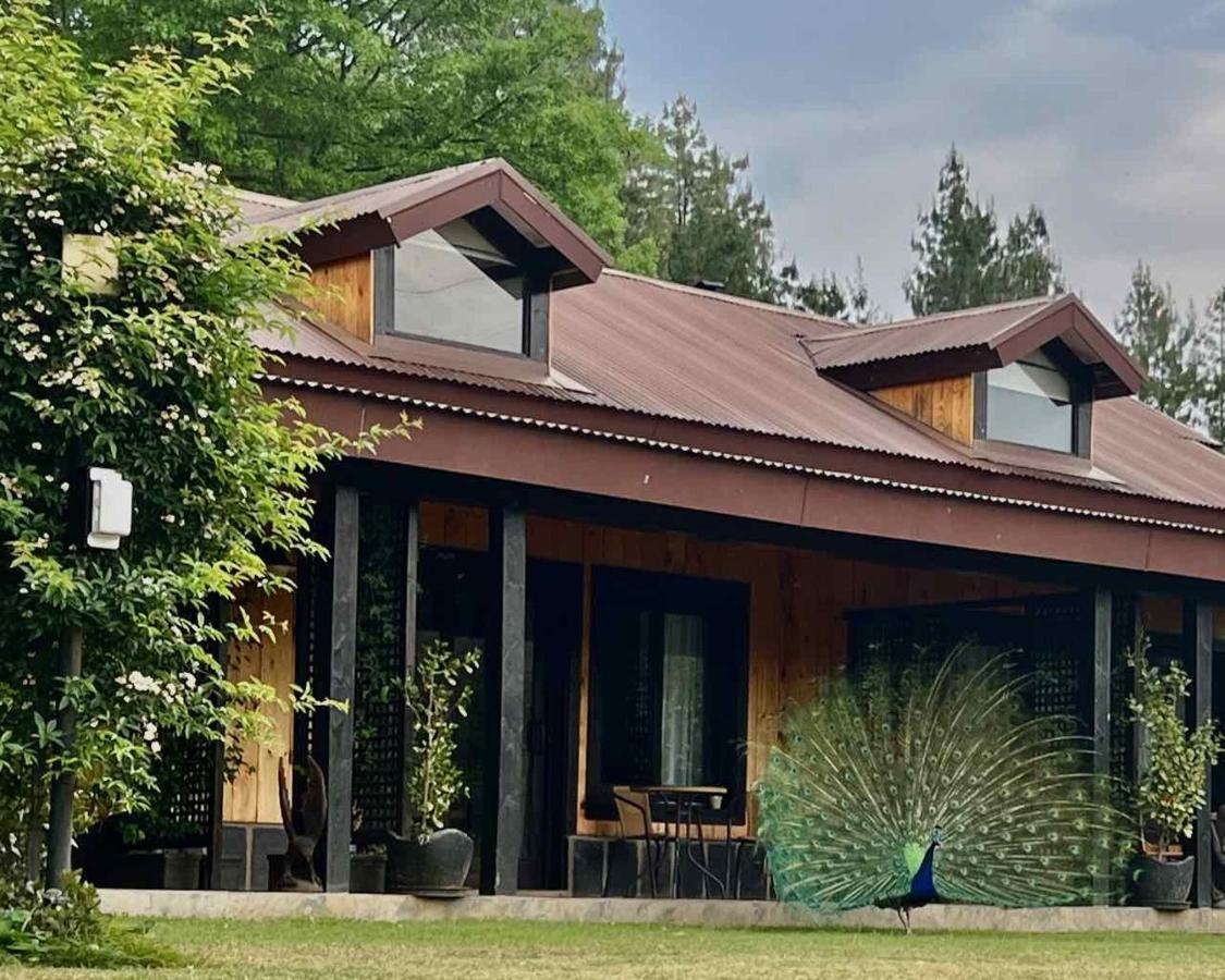 Malachite Manor Underberg Kültér fotó